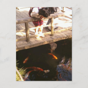 Carp pond postcard