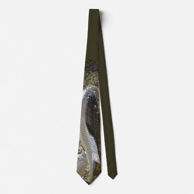 Carp Tie (Front)