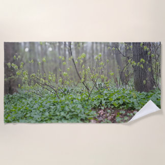 Carpathian Forest Floor Romania Nature Photograpy Beach Towel