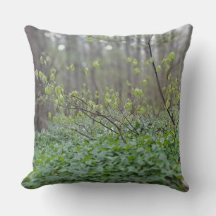 Carpathian Forest Floor Romania Nature Photograpy Cushion