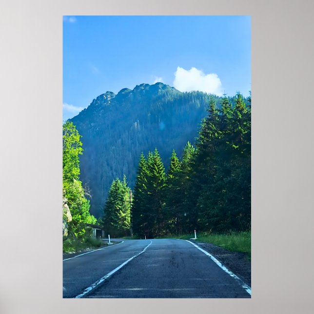 Carpathian Forest Road – Romania Mountain Print (Front)