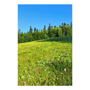 Carpathian Green Meadow – Romania Mountain Print