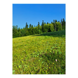 Carpathian Green Meadow – Romania Mountain Print
