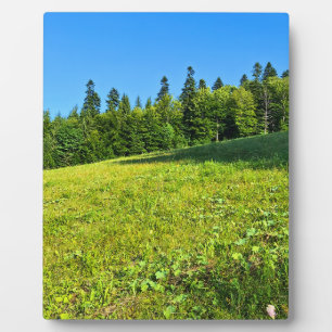 Carpathian Green Meadow – Romania Mountain Print Plaque