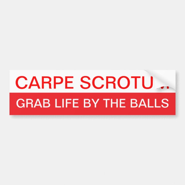 Carpe Diem? Bumper Sticker (Front)