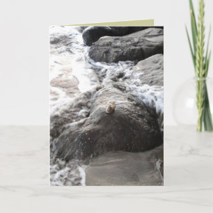 Carpe Diem Card