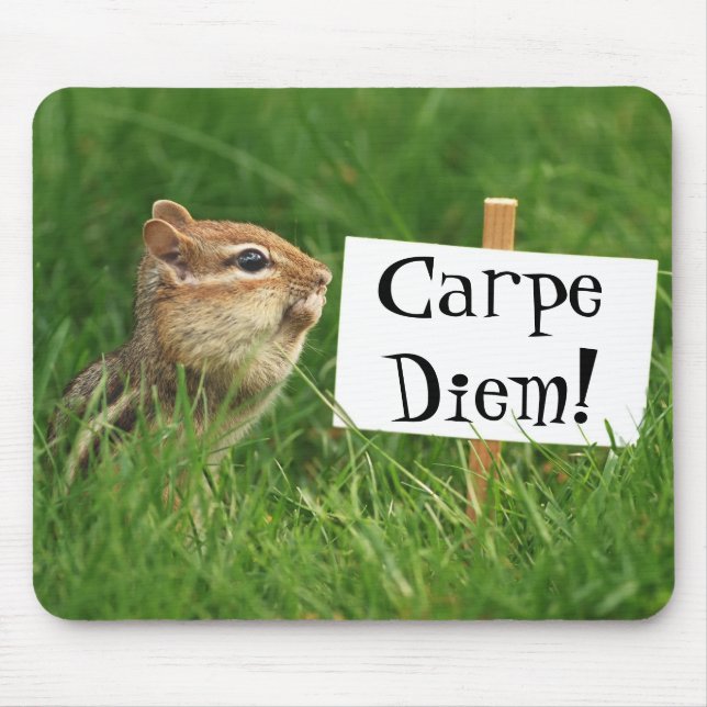 Carpe Diem! Chipmunk with Sign Mouse Mat (Front)