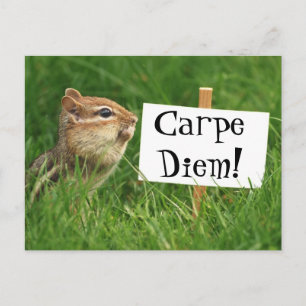 Carpe Diem! Chipmunk with Sign Postcard