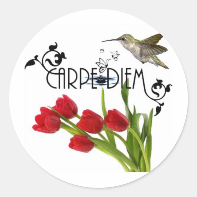 carpe diem classic round sticker (Front)