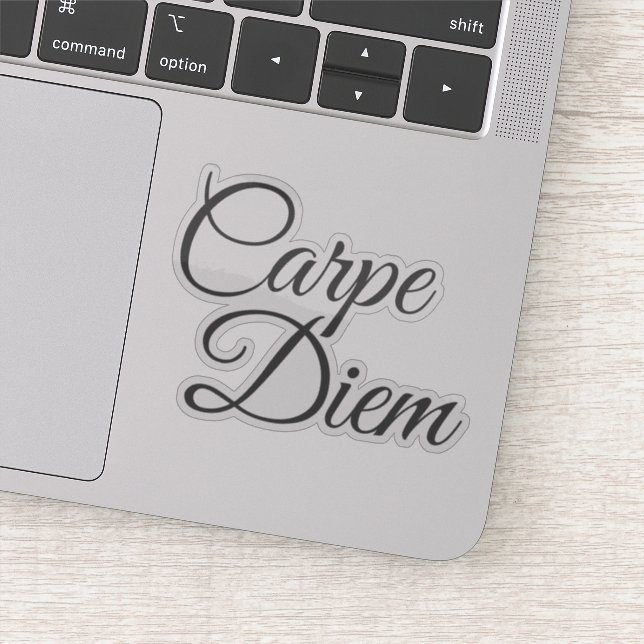 carpe diem latin quote (Detail)
