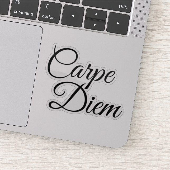 carpe diem latin quote (Detail)