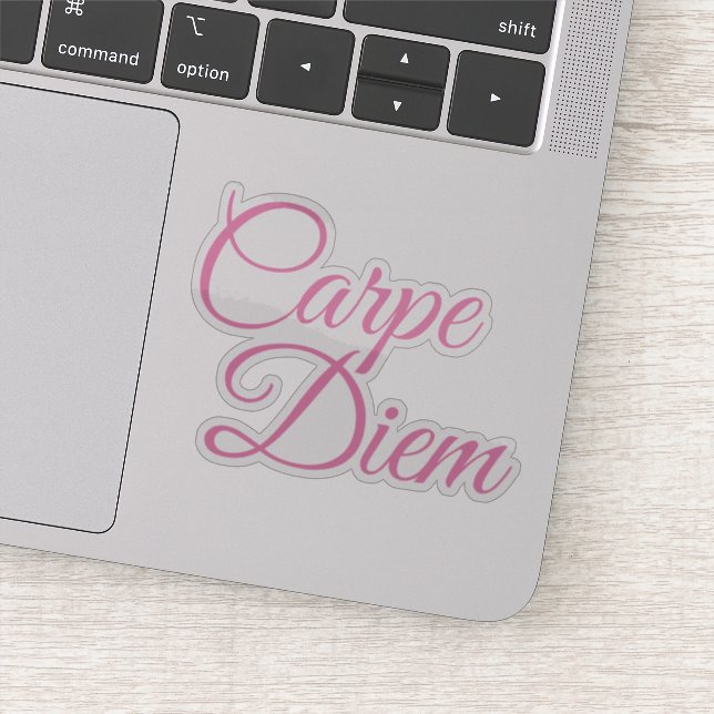 carpe diem latin quote (Detail)