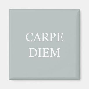 Carpe Diem Latin Quote Magnet