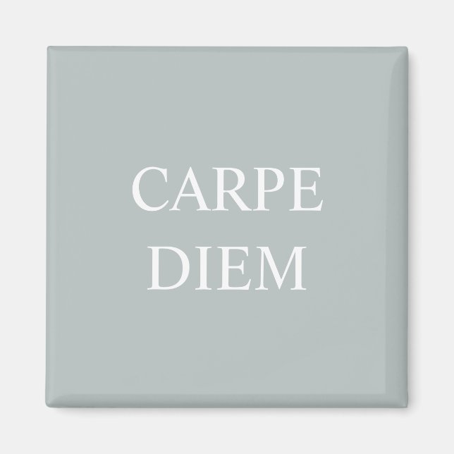 Carpe Diem Latin Quote Magnet (Front)