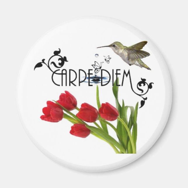 carpe diem magnet (Front)