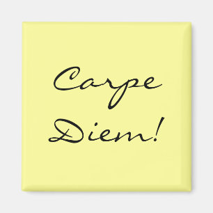 Carpe Diem magnet