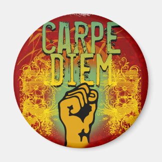 Carpe Diem Magnet