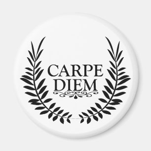 Carpe diem magnet