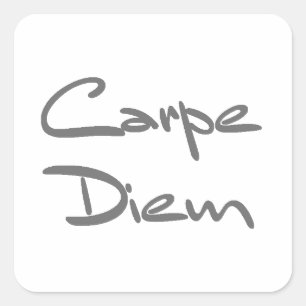 CARPE DIEM Modern Cool Text Square Sticker