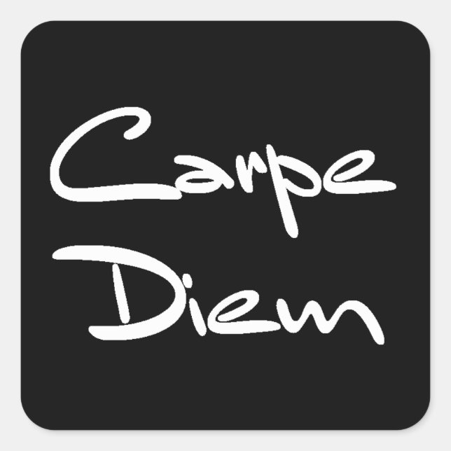 CARPE DIEM Modern Cool Text Square Sticker (Front)
