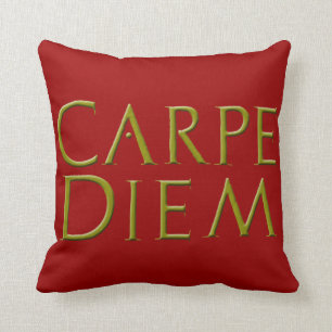 Carpe Diem Pillow