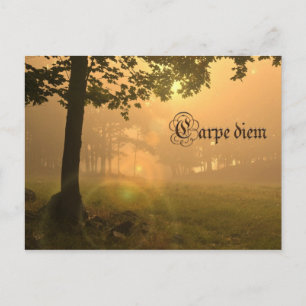 Carpe diem postcard