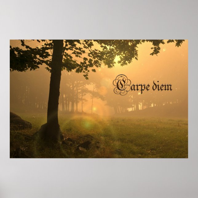 Carpe diem poster (Front)
