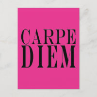 Carpe Diem Seize the Day Latin Quote Happiness