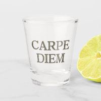 Carpe Diem Stone shot glass