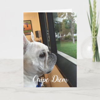Carpe Diem-Your world awaits! Holiday Card
