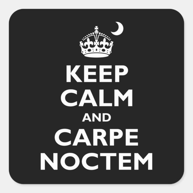 Carpe Noctem! Square Sticker (Front)