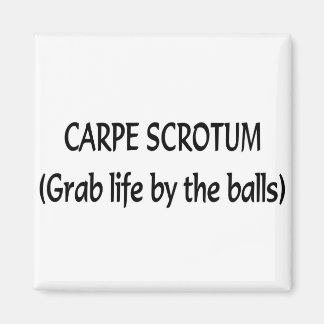 Carpe Scrotum Magnet