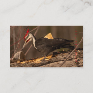 Carpenter, Wood Worker, Cabinet Maker Two-Sided Business Card