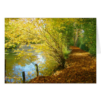 Carpet of Leaves