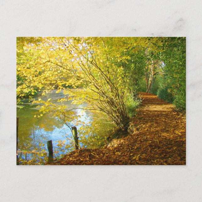 Carpet of Leaves Postcard (Front)