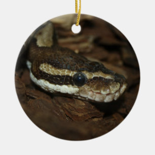 Carpet python ceramic tree decoration