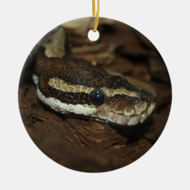 Carpet python ceramic tree decoration (Front)