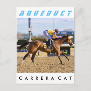 Carrera Cat Postcard