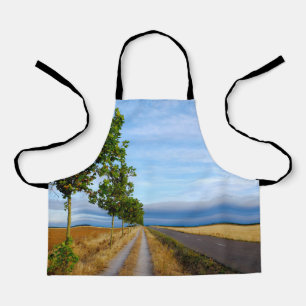 Carretera Hacia Reliegos Apron