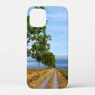 Carretera Hacia Reliegos iPhone 12 Mini Case