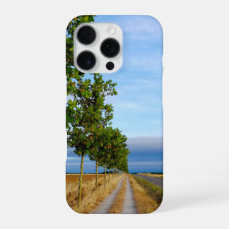 Carretera Hacia Reliegos iPhone 16 Pro Case