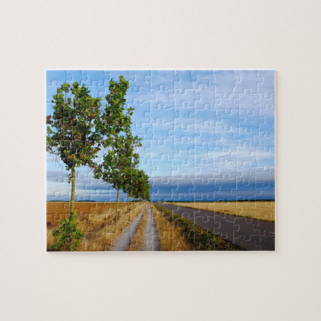 Carretera Hacia Reliegos Jigsaw Puzzle (Horizontal)