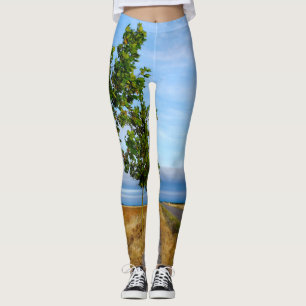 Carretera Hacia Reliegos Leggings