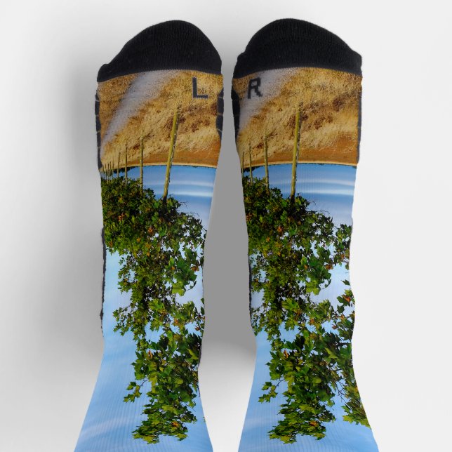 Carretera Hacia Reliegos Socks (Top)