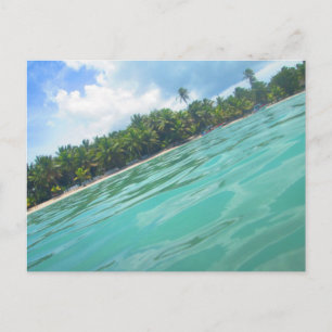 CARRIBEAN SEA POSTCARD 16