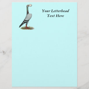 Carrier Pigeon 2012