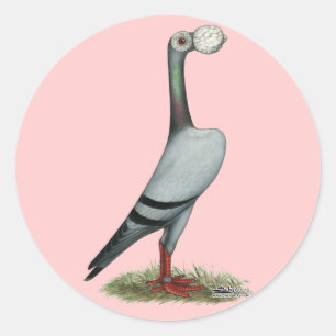 Carrier Pigeon 2012 Classic Round Sticker