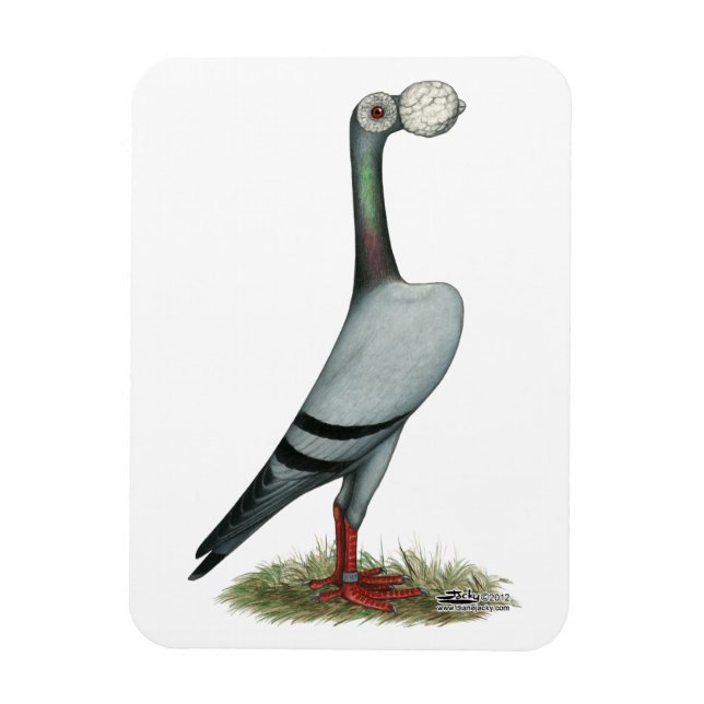 Carrier Pigeon 2012 Magnet (Vertical)
