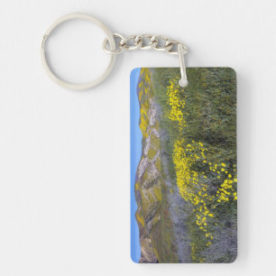 Carrizo Plain National Monument, California Key Ring