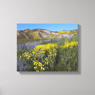 Carrizo Plain National Monument Canvas Print